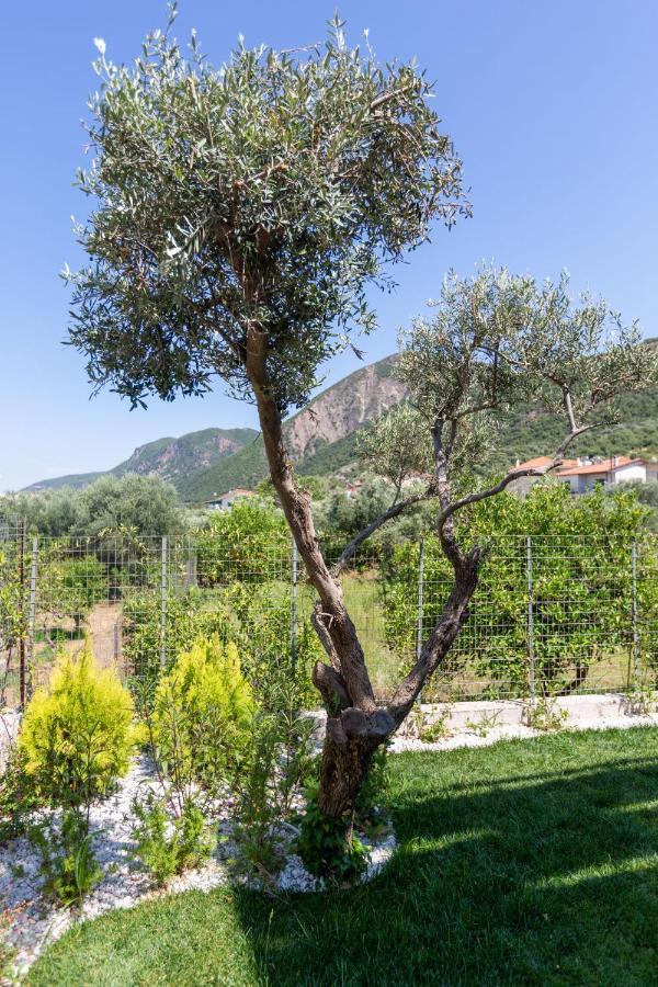 Two Olive Trees Lägenhet Psathópirgos Exteriör bild